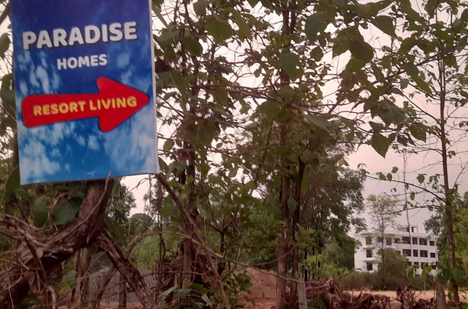 Paradise Homes resort living direction sign near the site